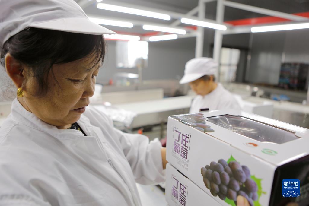 手机下载百家乐